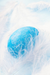 Similar image 21136732