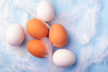 Similar image 21136733