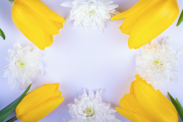 Similar image 21136734