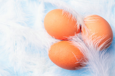 Similar image 21136735