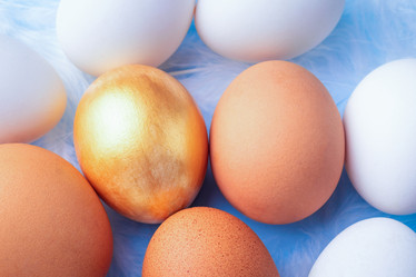 Similar image 21136736