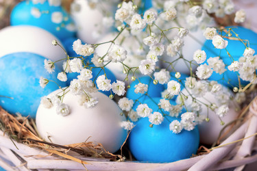 Similar image 21136738