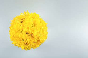 Similar image 21136740