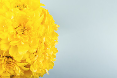 Similar image 21136741