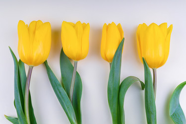 Similar image 21136742