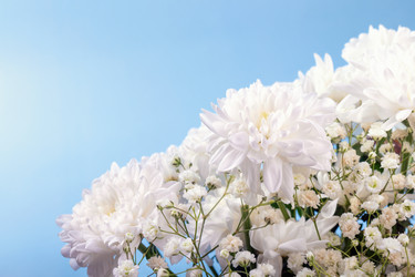 Similar image 21136745