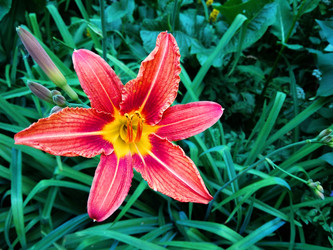 Similar image 21144554