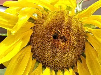 Similar image 21144556