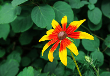 Similar image 21144557