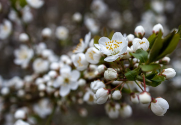 Similar image 21144558