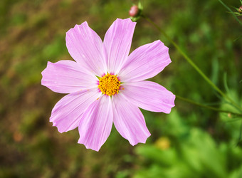 Similar image 21144561