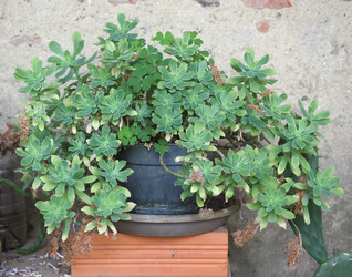 Similar image 21177594