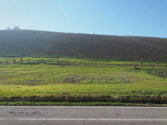 Similar image 21177601