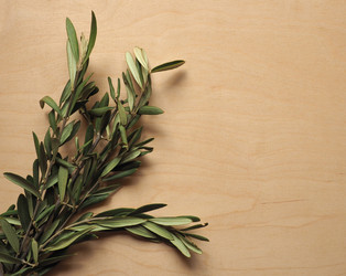 Similar image 21177610