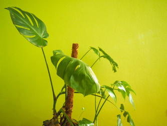 Similar image 21177617