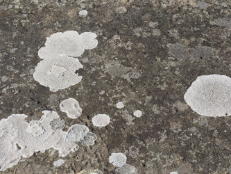 Similar image 21177620