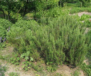 Similar image 21177632