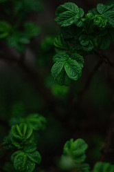 Similar image 21135912