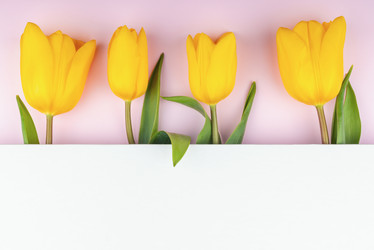 Similar image 21136759