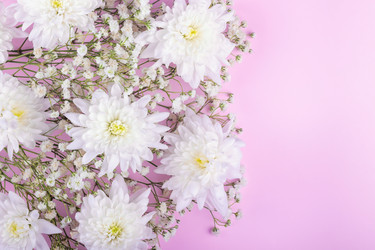 Similar image 21136762