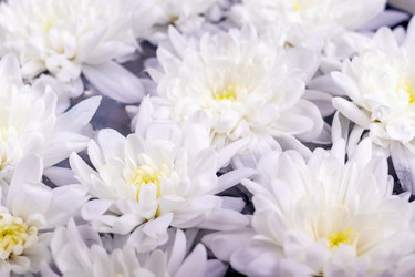 Similar image 21136766