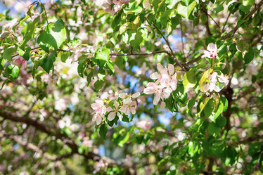 Similar image 21136767