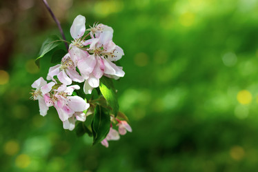 Similar image 21136768