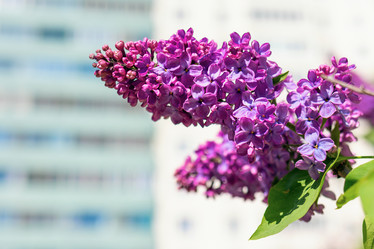 Similar image 21136769