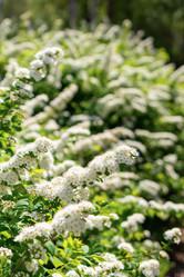 Similar image 21136770