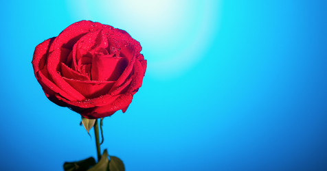 Similar image 21136772