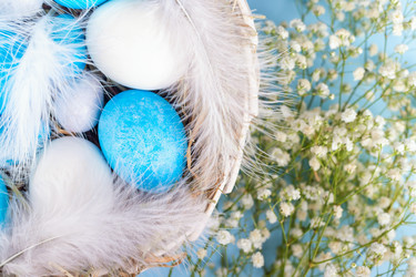 Similar image 21136775