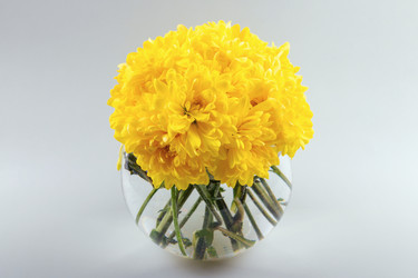 Similar image 21136778