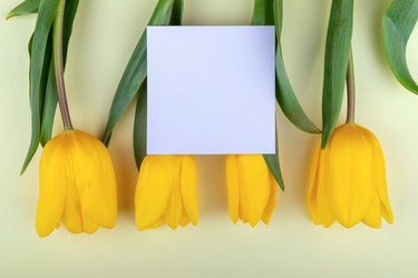 Similar image 21136790