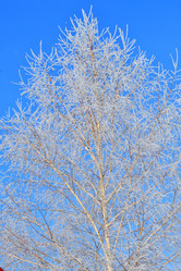 Similar image 21135427