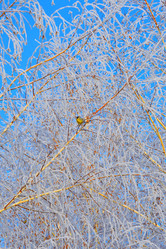 Similar image 21135437