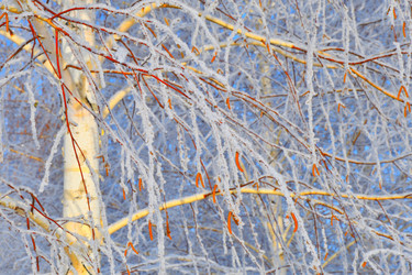 Similar image 21135445