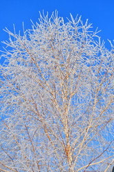 Similar image 21135451