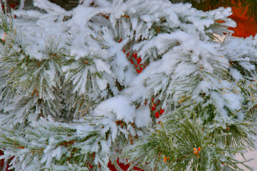 Similar image 21135458