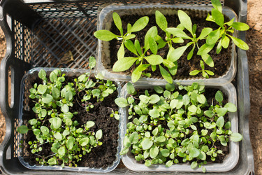 Similar image 21161359