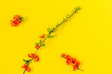 Similar image 21161555