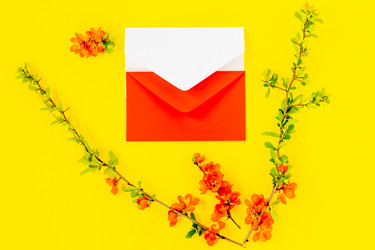 Similar image 21161557