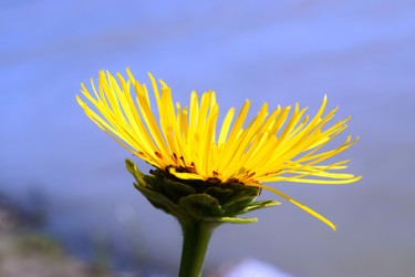 Similar image 21137864