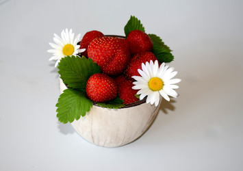 Similar image 21137869