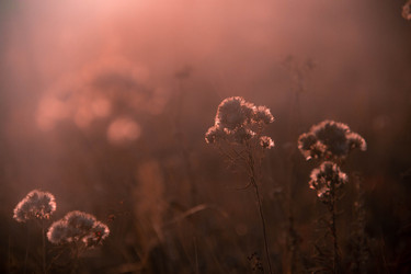 Similar image 21135944