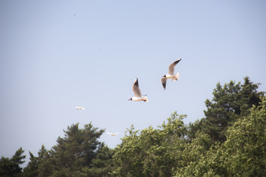 Similar image 21135945