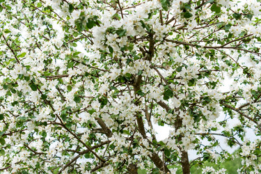 Similar image 21150696