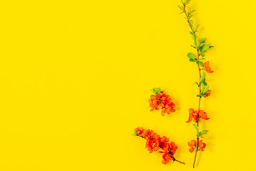 Similar image 21150698