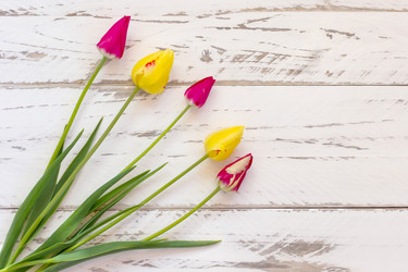 Similar image 21150712