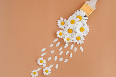 Similar image 21157113