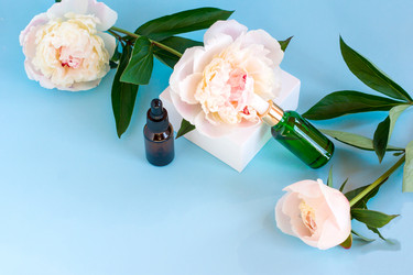 Similar image 21157117